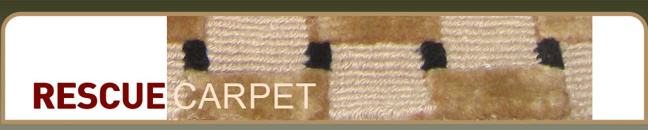 Carpet Cleaners Johannesburg
