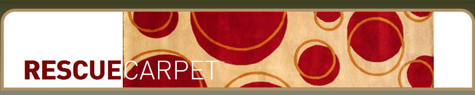Carpet Cleaners Johannesburg